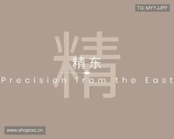 介绍精东传媒